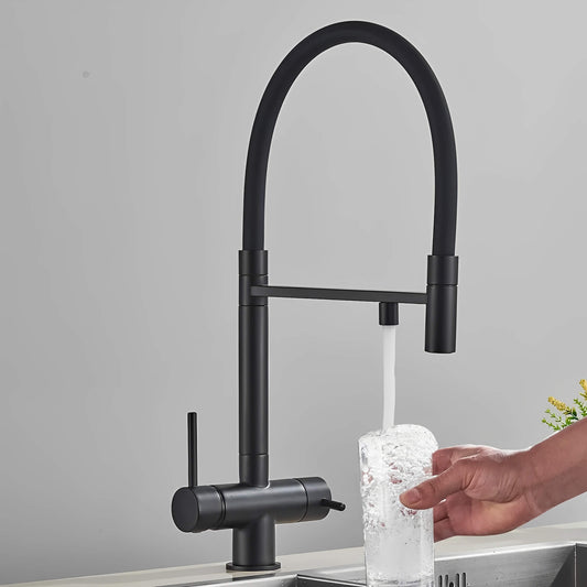Robinet de cuisine avec douchette et sortie eau filtrée
