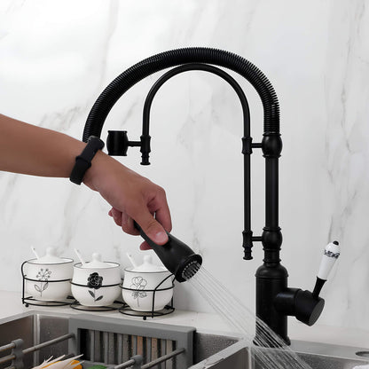 Robinet cuisine douchette – mitigeur en laiton avec ressort flexible et double jet