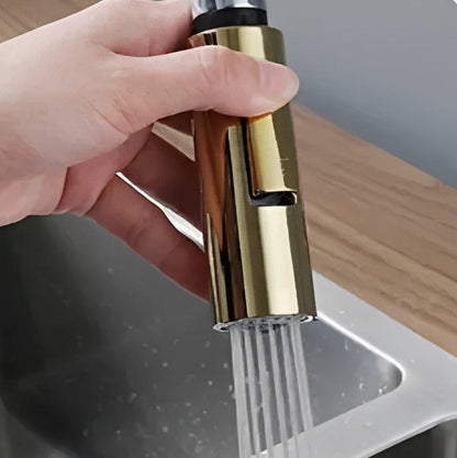 Robinet de cuisine douchette à bec extractible deux jets