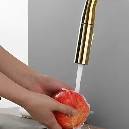 Robinet de cuisine douchette à bec extractible deux jets