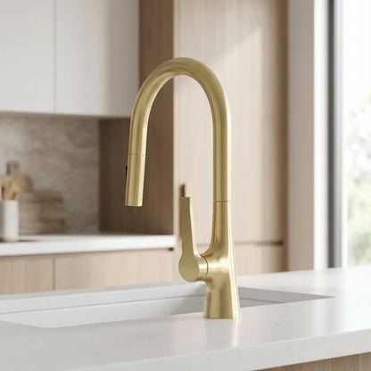 Robinet de cuisine douchette à bec extractible deux jets