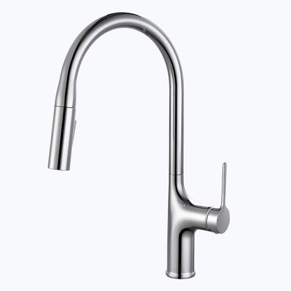 Robinet douchette évier à bec extractible deux jets