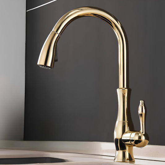 Robinet douchette pour cuisine prestige