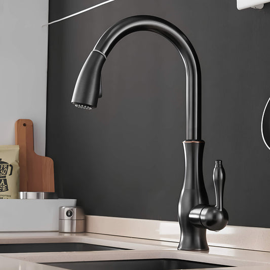 Robinet douchette pour cuisine prestige