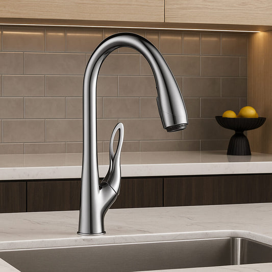 Robinet douchette évier - design luxueux