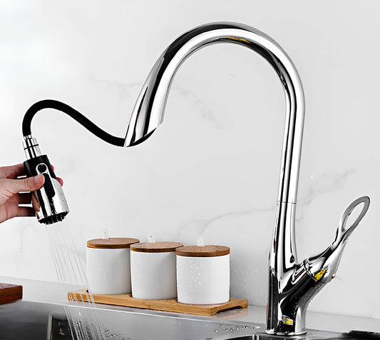 Robinet douchette évier - design luxueux
