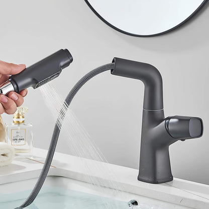 Robinet lavabo orientable avec douchette